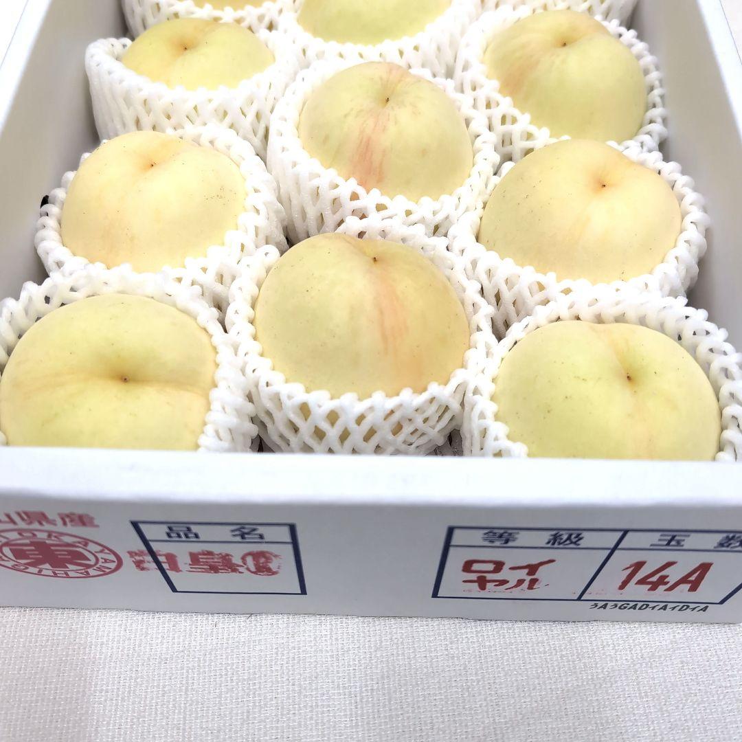 岡山県産 白桃 白皇 ロイヤル 14個入り