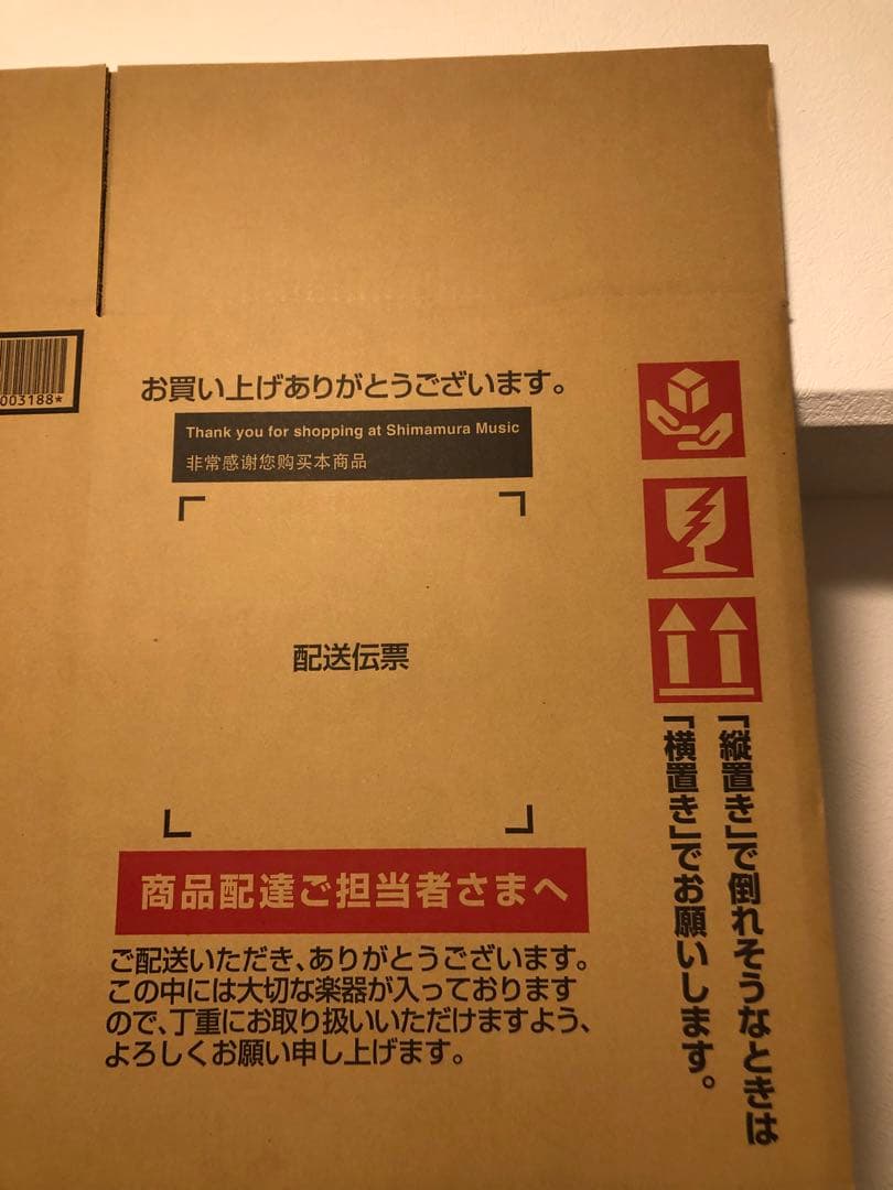 James 島村楽器 アコースティックギター
