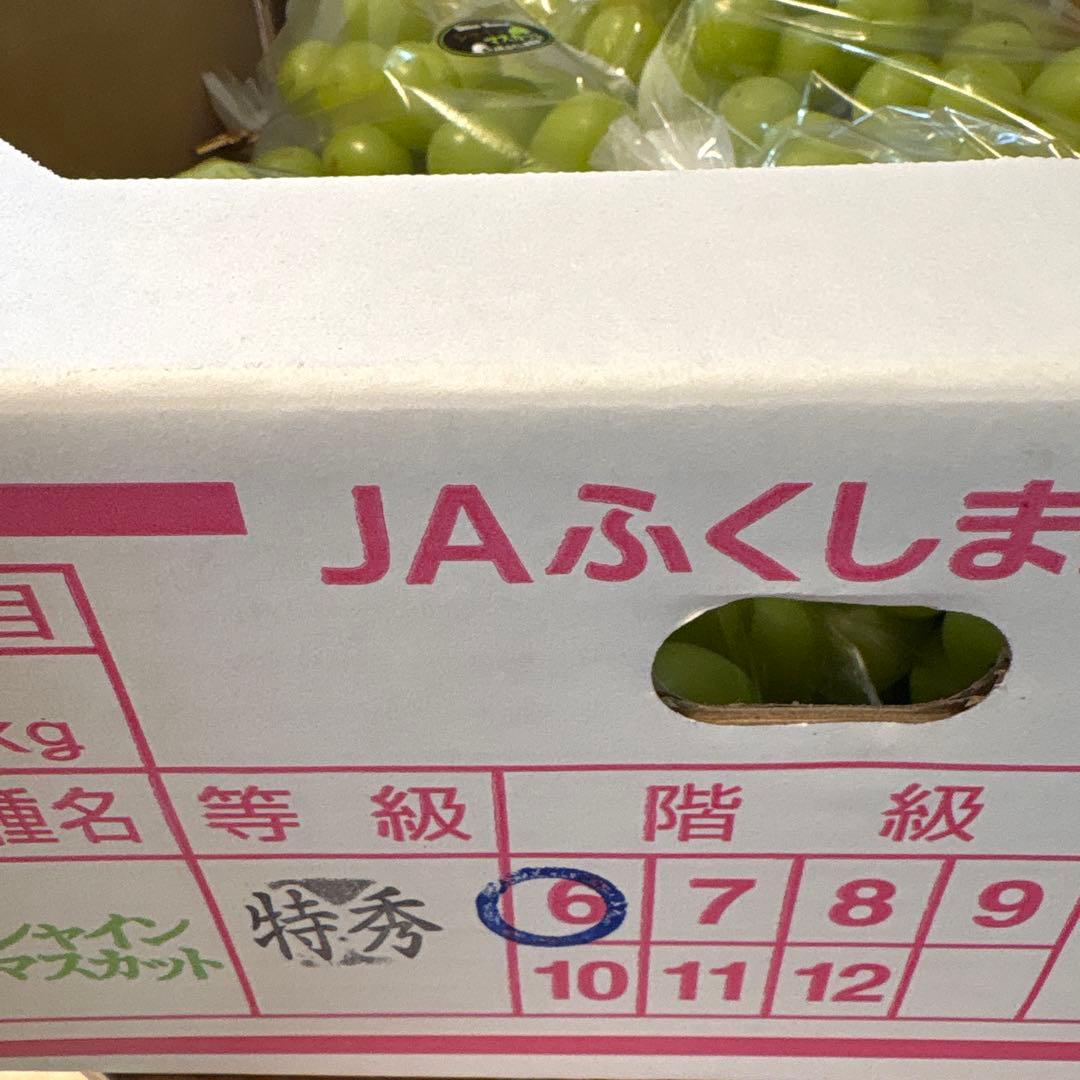 シャインマスカット 特秀品6房 5キロ JAふくしま未来