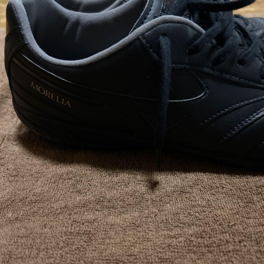 モレリア　サラ　プロ　TF