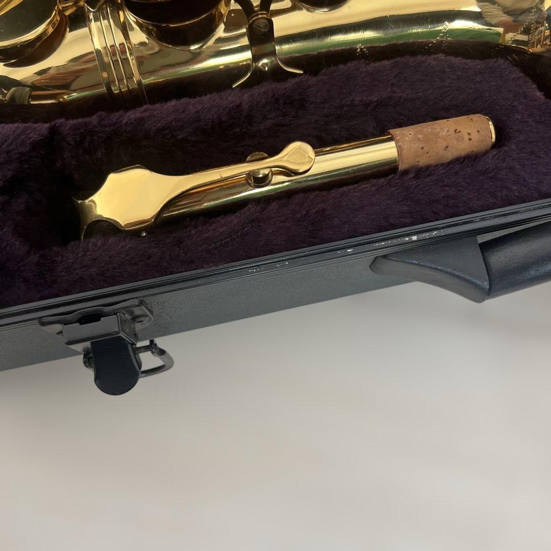 【初心者セット】SAVALEY アルトサックス ケース付き 付属品多数