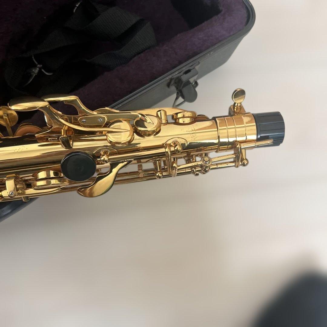 【初心者セット】SAVALEY アルトサックス ケース付き 付属品多数