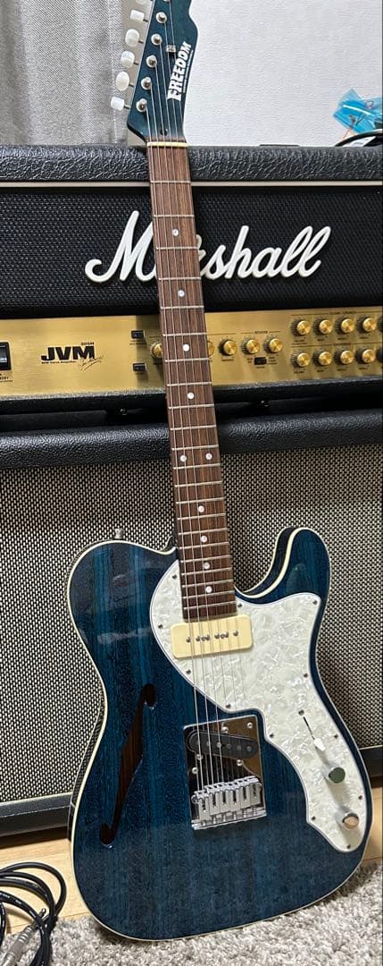 Freedom C.G.R テレキャスタータイプ/シンライン