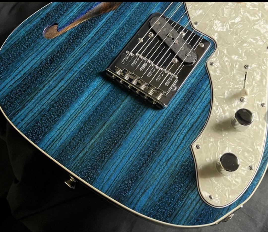 Freedom C.G.R テレキャスタータイプ/シンライン