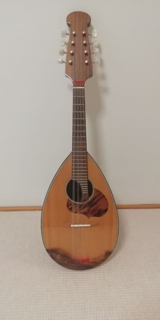 Calaceカラーチェ Mandolinマンドリン【No.24】