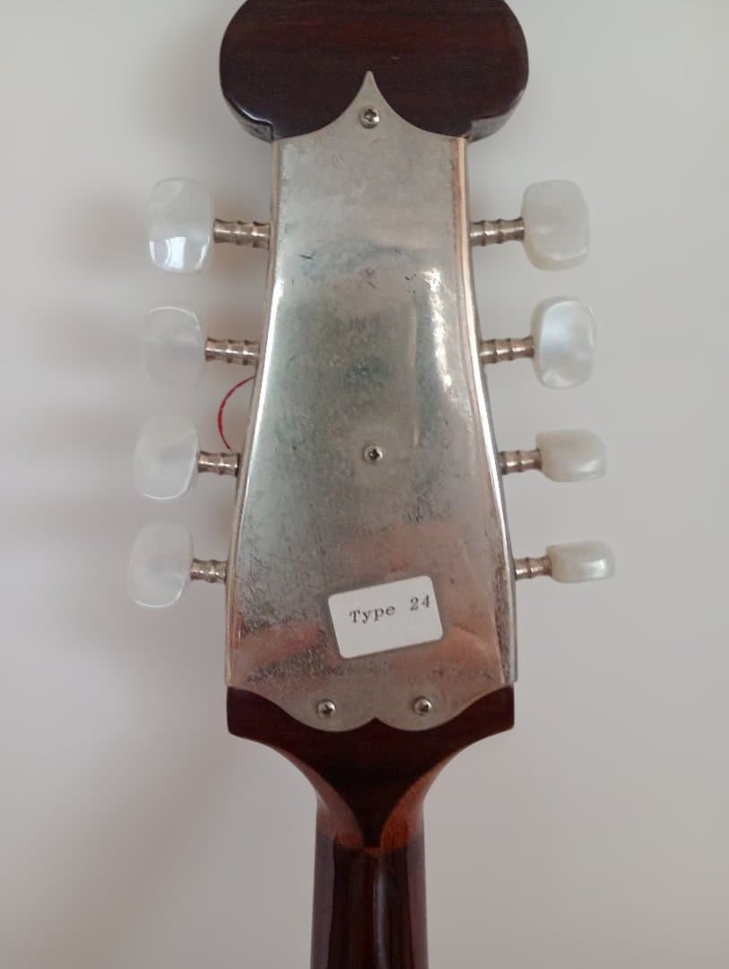 Calaceカラーチェ Mandolinマンドリン【No.24】