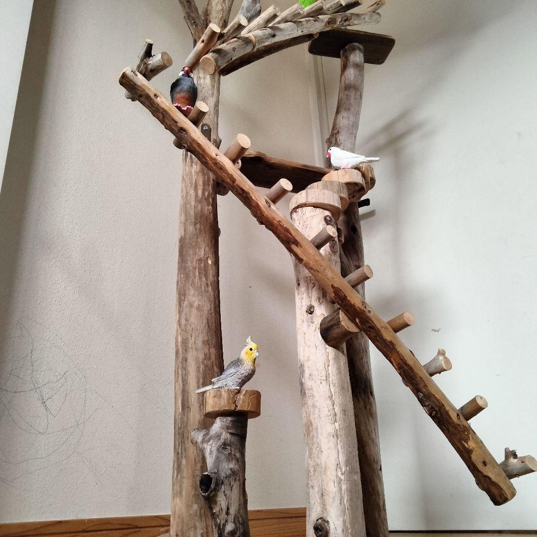 まっきー バードアスレチックジム大型 天然木 自然木 止まり木 インコ