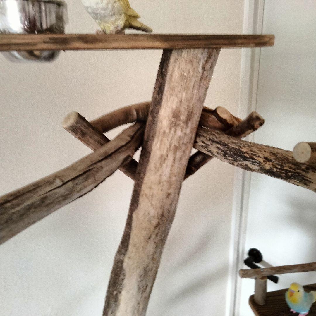 まっきー バードアスレチックジム大型 天然木 自然木 止まり木 インコ