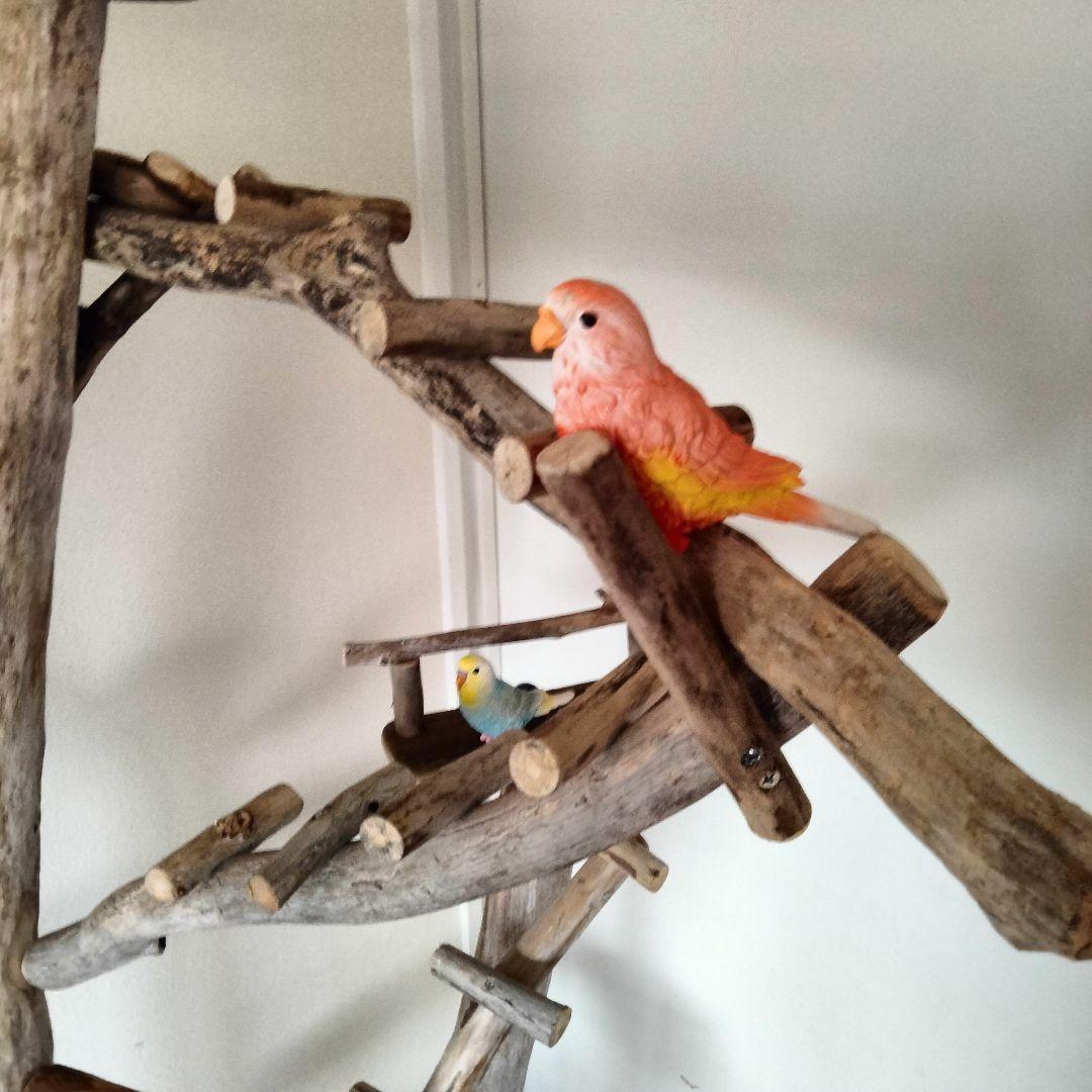 まっきー バードアスレチックジム大型 天然木 自然木 止まり木 インコ