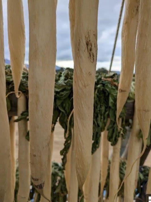 干し大根　細め小さめ　訳あり　箱込み約20kg