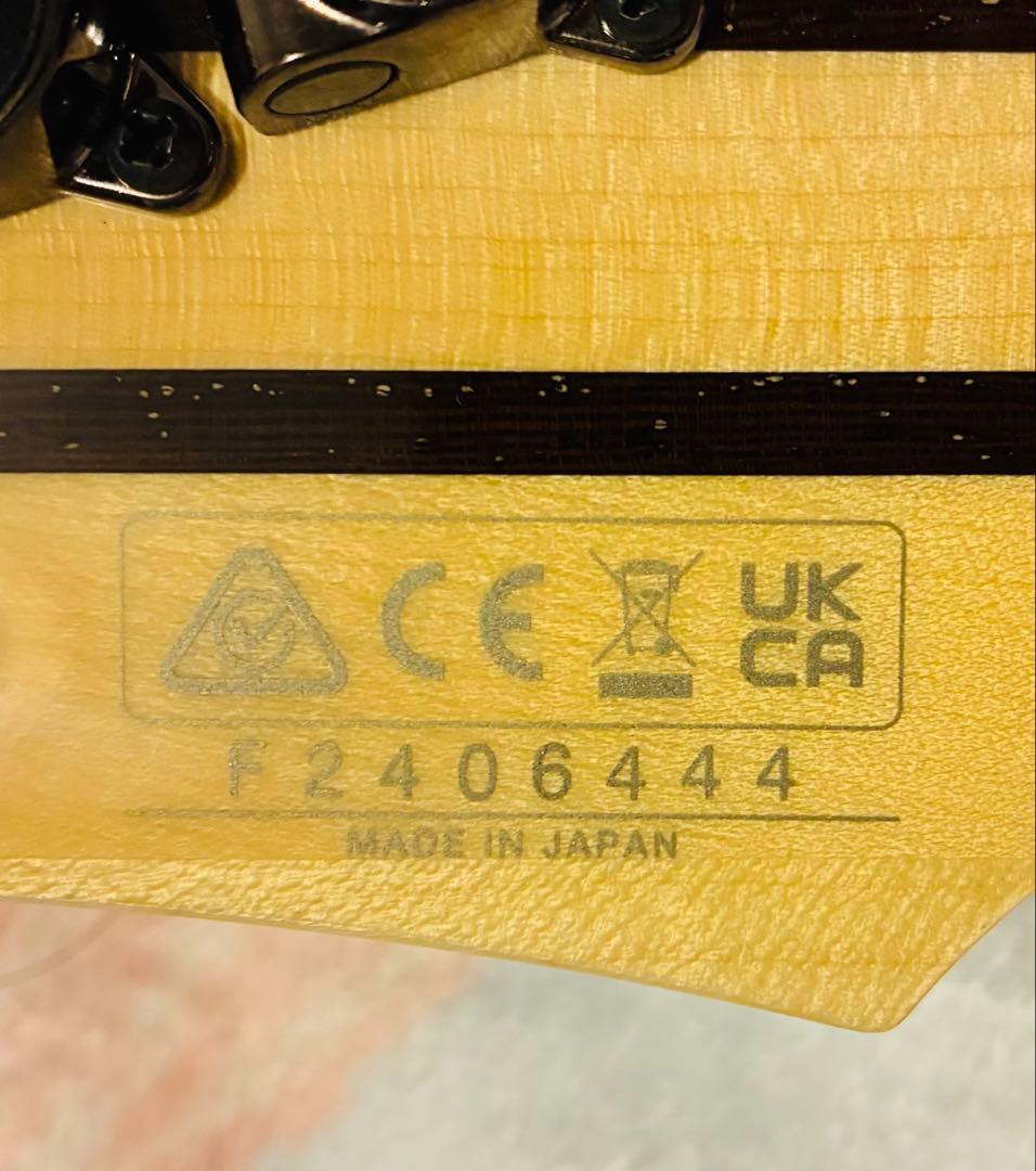 m*a様 Ibanez RG8570 J-Custom