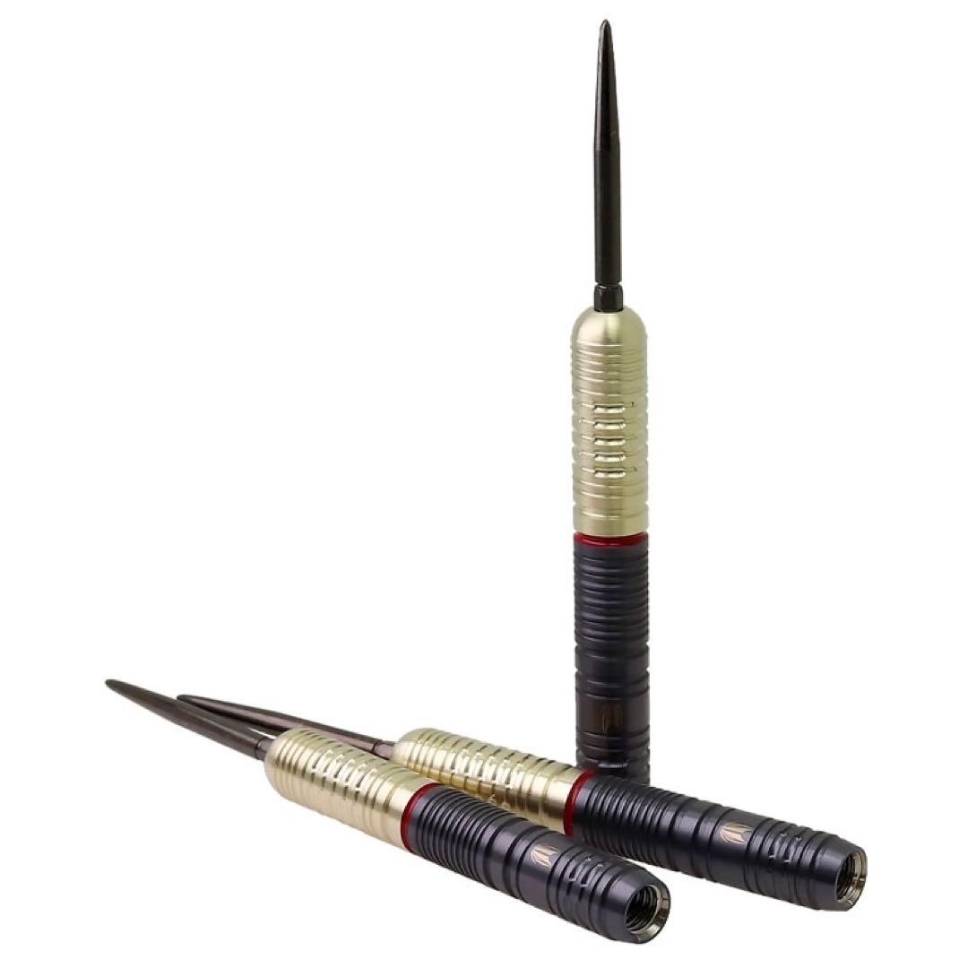 TARGET GLITZ G2 スティール SWISS POINT 有原竜太選手