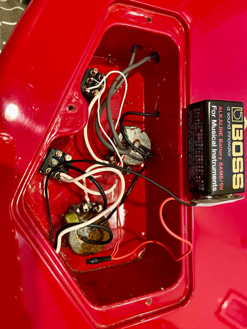 BUCK-TICK今井寿 BT-120MM 【観賞用】