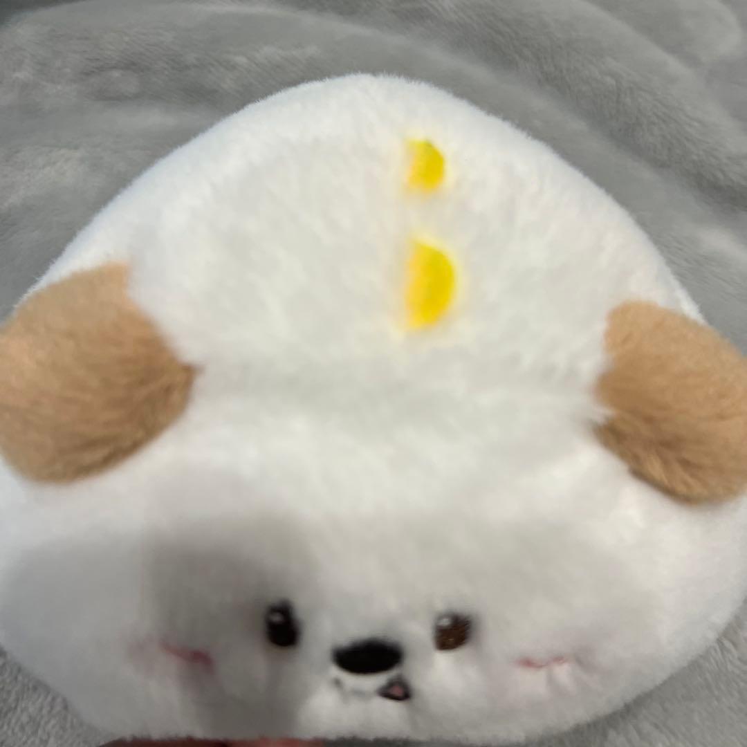 アントン モンリョンイ ペンライトカバー