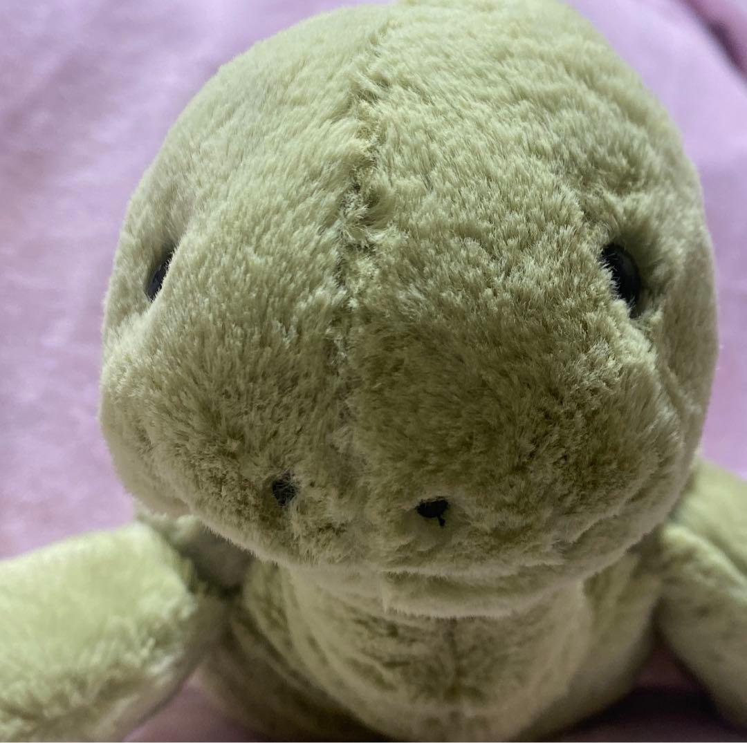  亀 Tully Turtle ぬいぐるみジェリーキャット