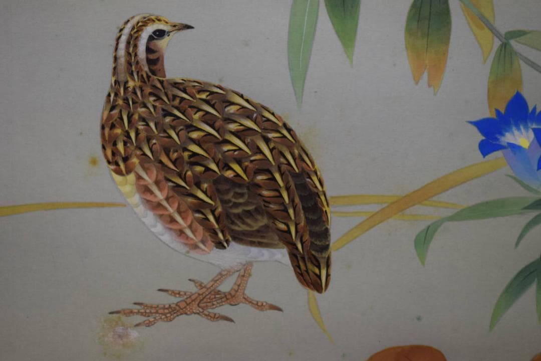 真作/田中瑞耕/鶉図/うずら図/桐共箱太巻二重箱付/布袋屋掛軸HG-273