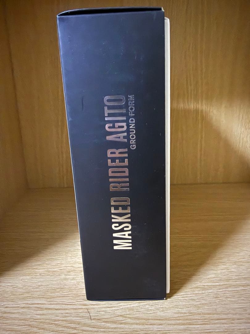 SHフィギュアーツ（真骨頂製法）仮面ライダー アギト