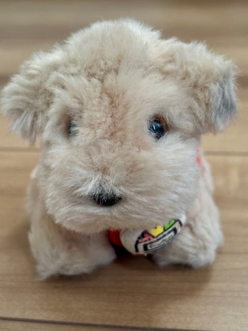 バックトゥーザフューチャー　アインシュタイン　ユニバ　USJ