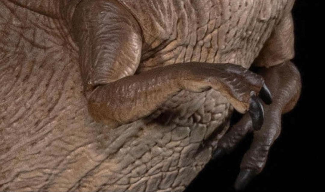 Nanmu 本心楠改 ティラノサウルス アクション フィギュア 3.0