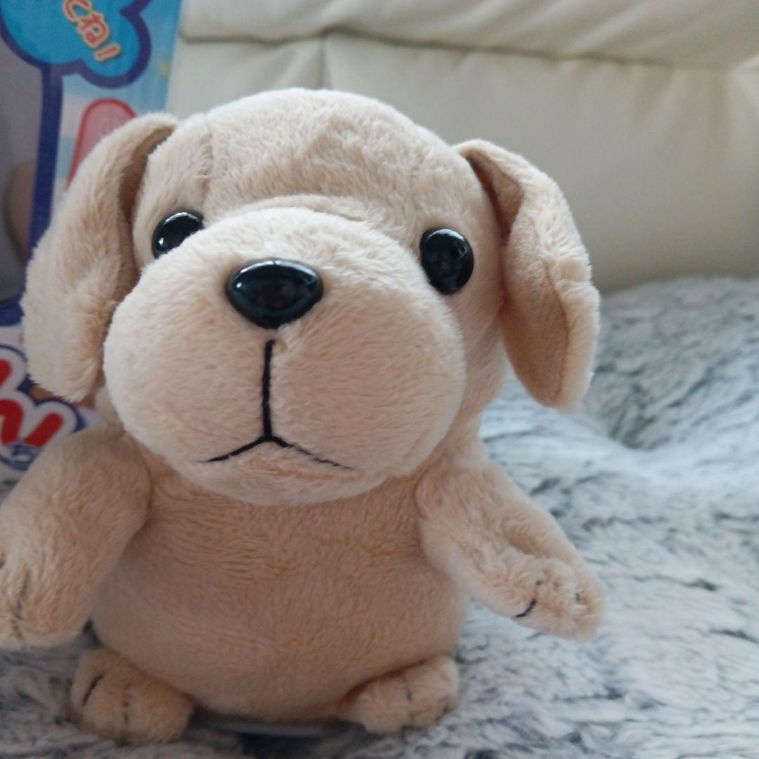 こえマネわんちゃん美品✨️