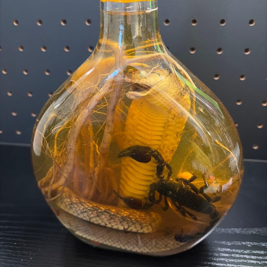 コブラ　サソリ　高麗人参 置き物