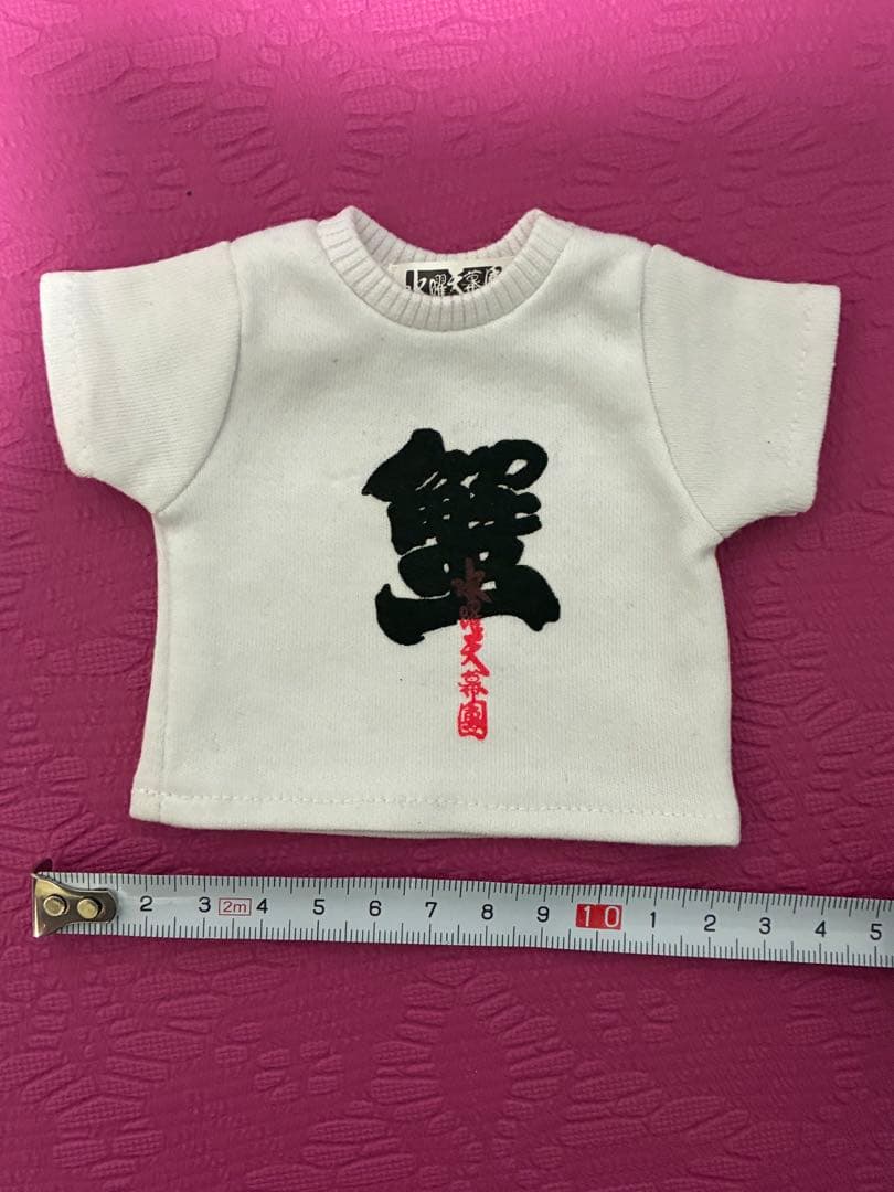 水曜どうでしょう 蟹頭十郎太グッズほかセット