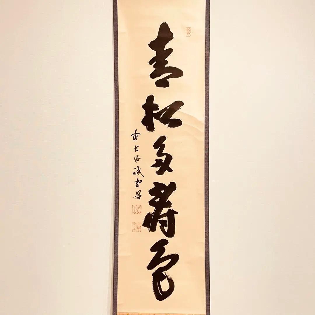 2799 藤井誡堂 「青松多寿色」 肉筆 紙本 掛軸 大徳寺 禅語