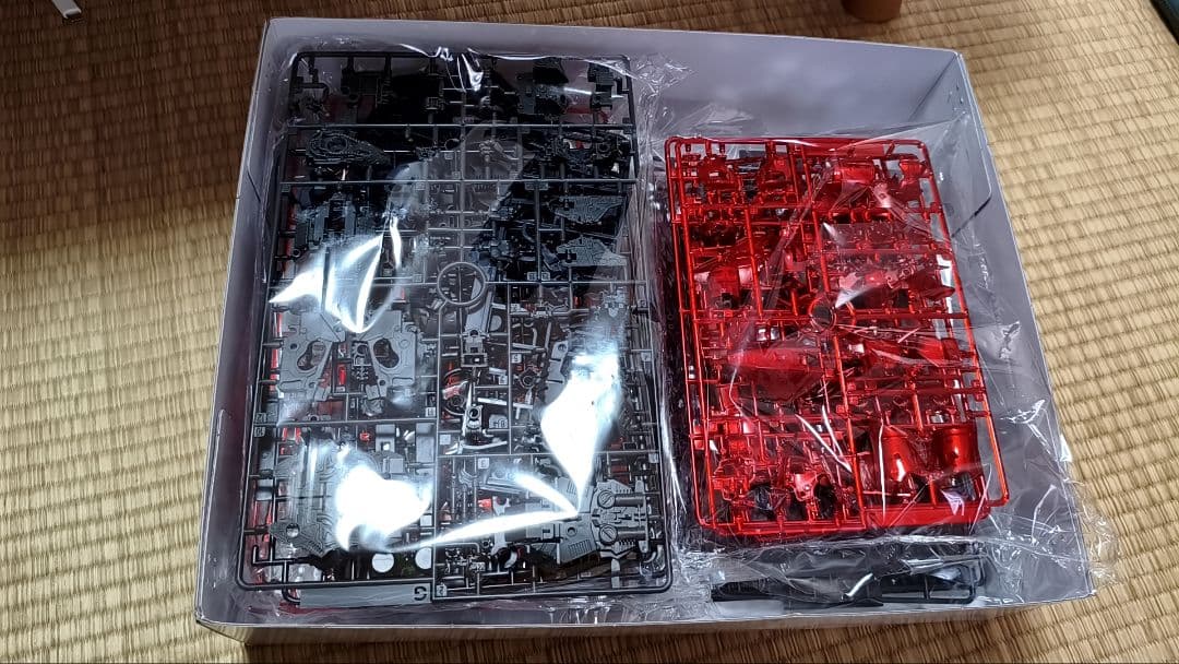 RG 　沙扎比　メカニカルコアメッキ