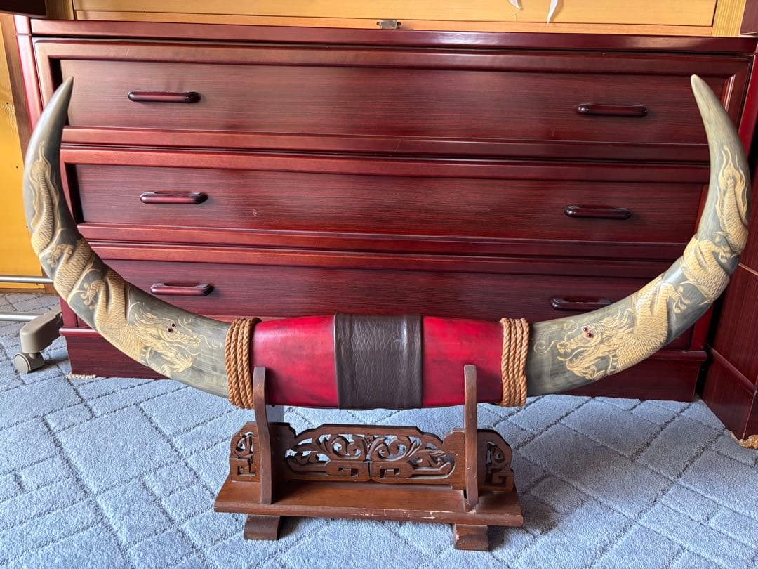 飾り角（水牛）