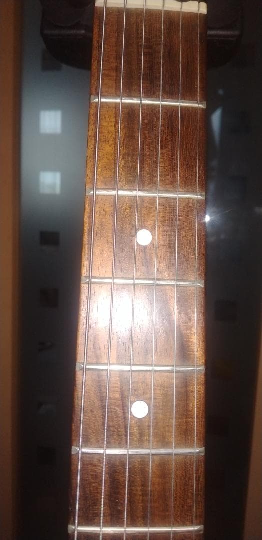 個人製作者改造ストラトモデル