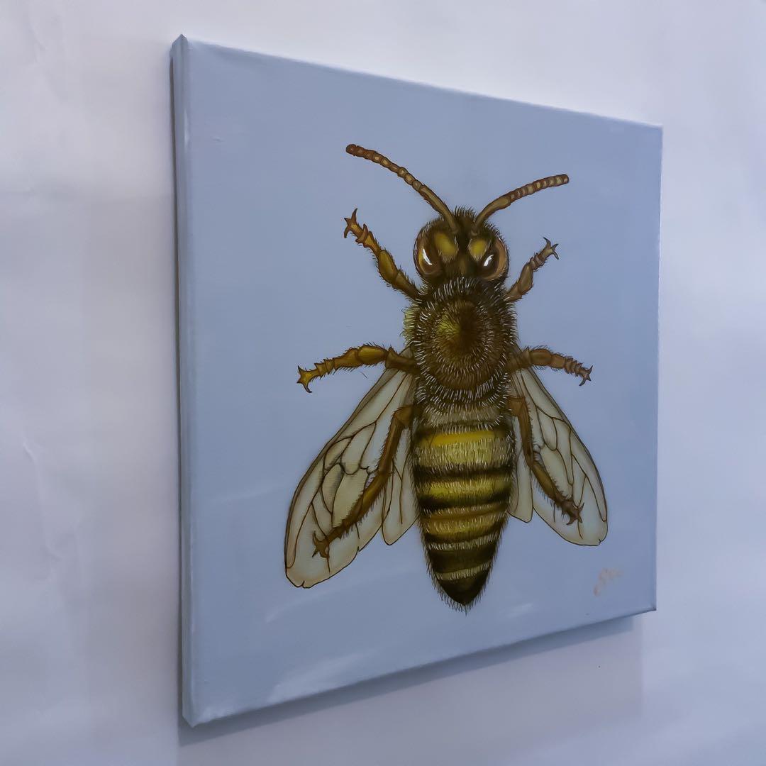 各種公募展入選作家による現代アートリアリズム作品　『ミツバチ』