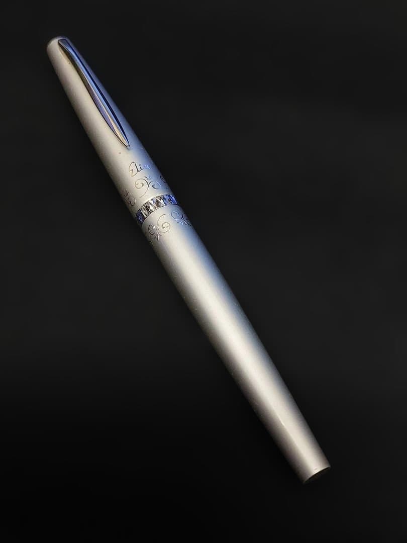 【M (プロフご一読下さい)】パイロット万年筆2本セット