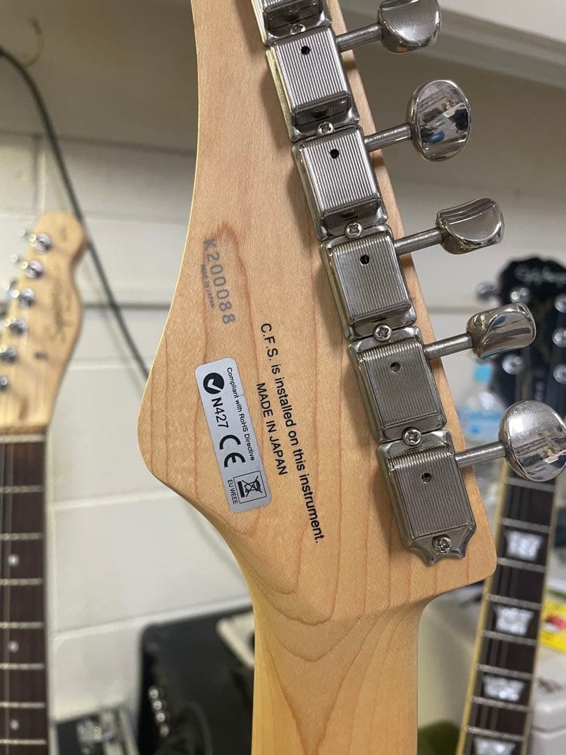 FUJIGEN フジゲン　ハムバッカー搭載テレキャスター