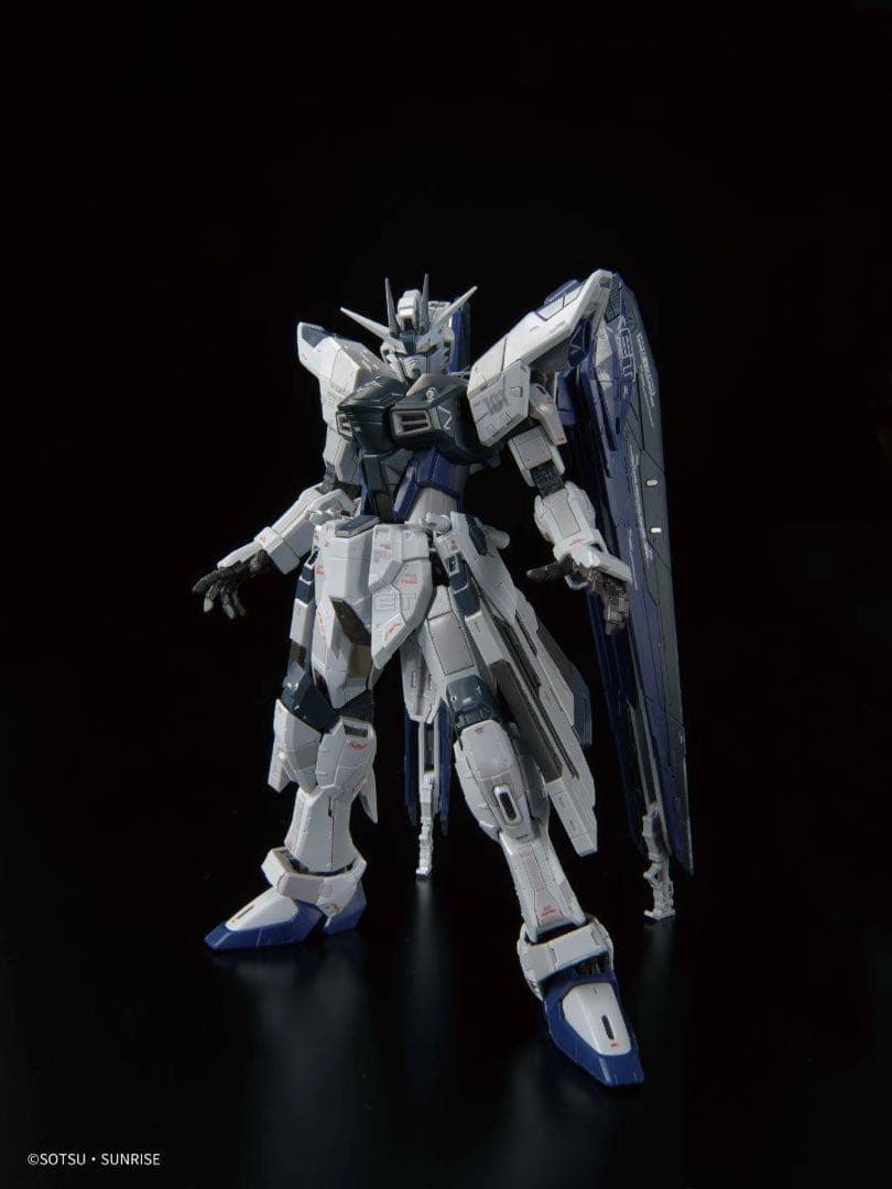 上海　RG フリーダムガンダムVer.GCP ディアクティブモード