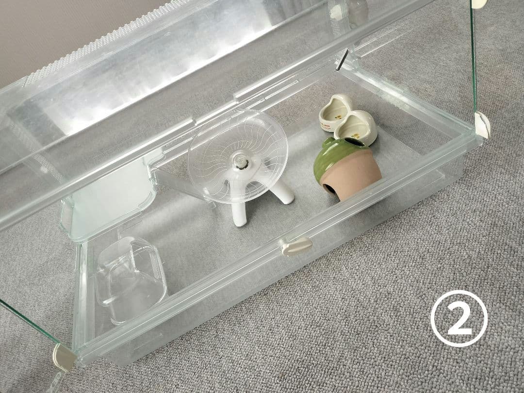 グラスハーモニー大小　餌　砂　今すぐ飼えるセット