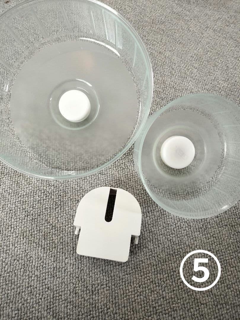 グラスハーモニー大小　餌　砂　今すぐ飼えるセット