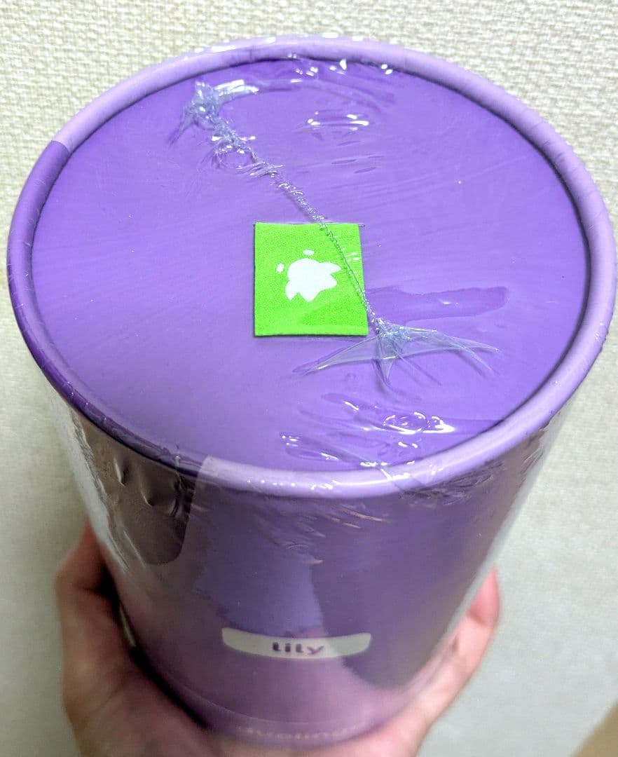 Duolingo Lily リリー フィギュア