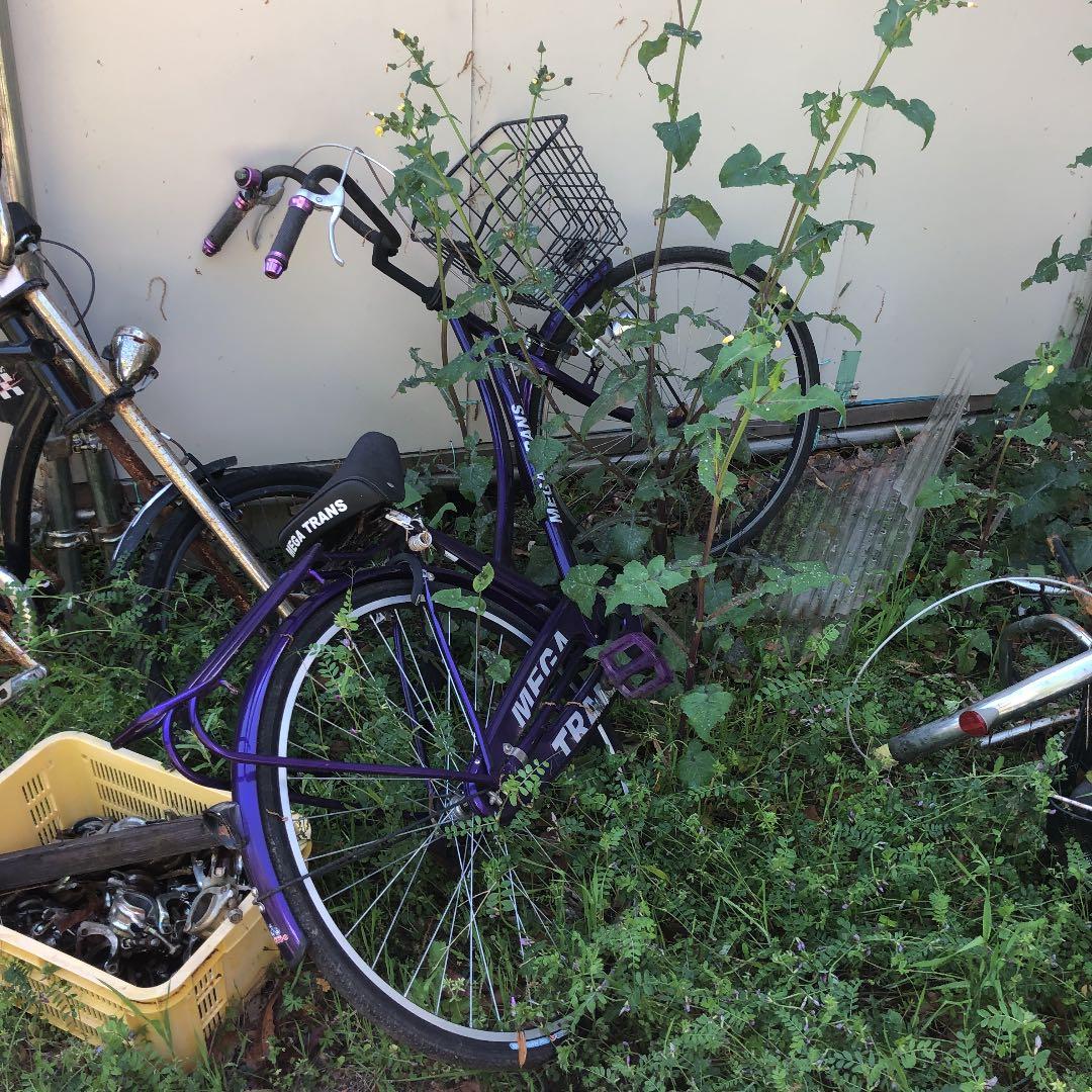 ビーチクルーザー