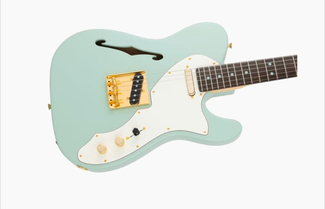 Fender ギター テレキャスター シンライン 原宿限定 ゴールドパーツ