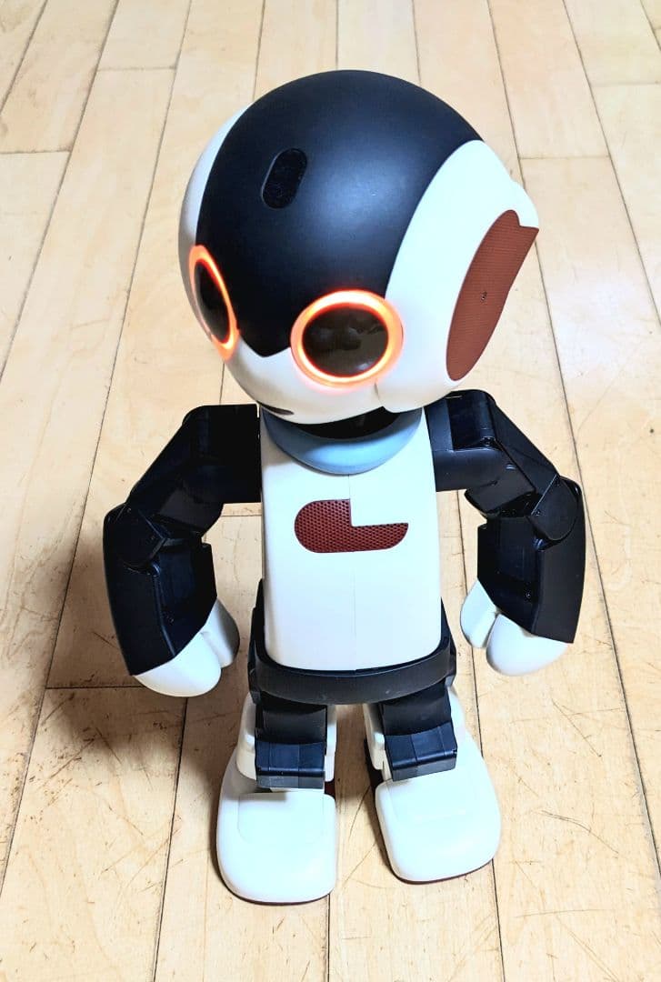 【限定モデル】初代Robi メーカー組立完成品 専用ケース付 希少 美品