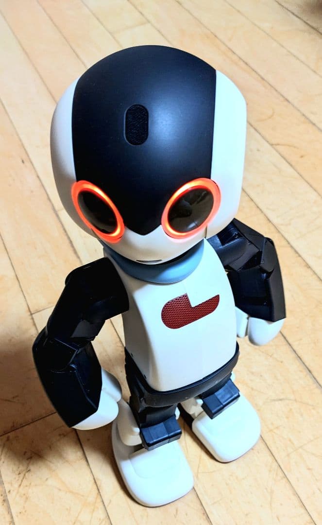 【限定モデル】初代Robi メーカー組立完成品 専用ケース付 希少 美品