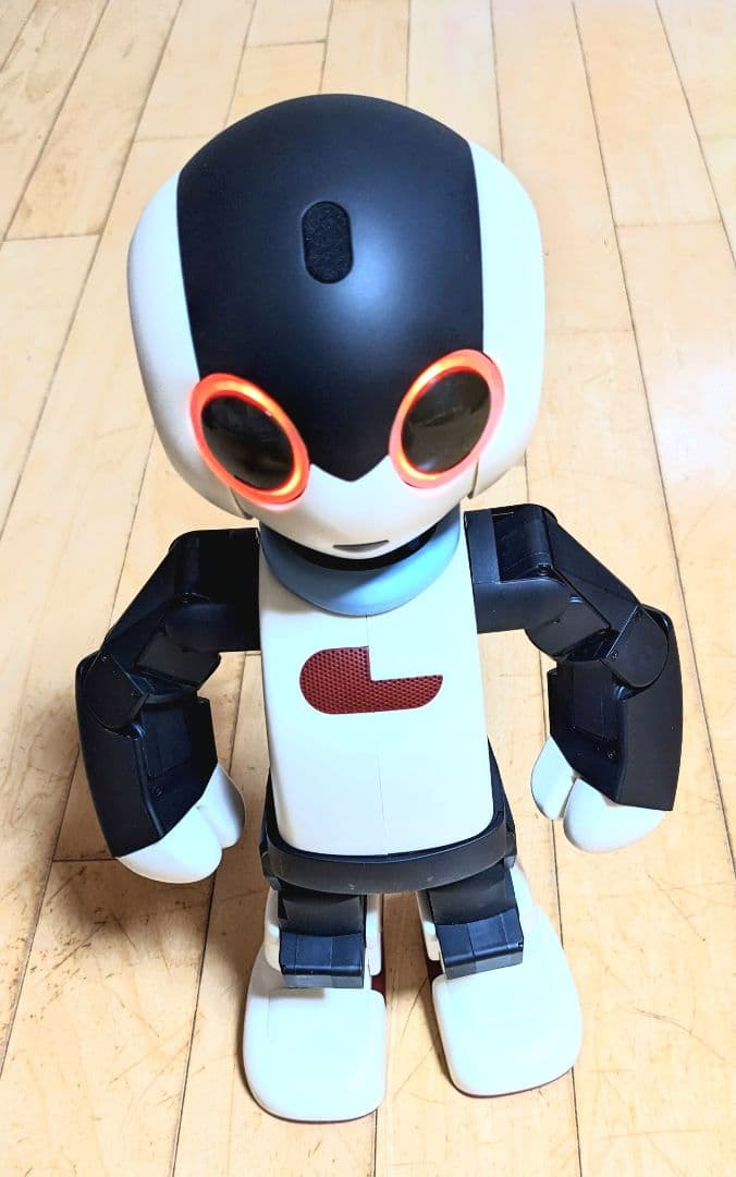 【限定モデル】初代Robi メーカー組立完成品 専用ケース付 希少 美品