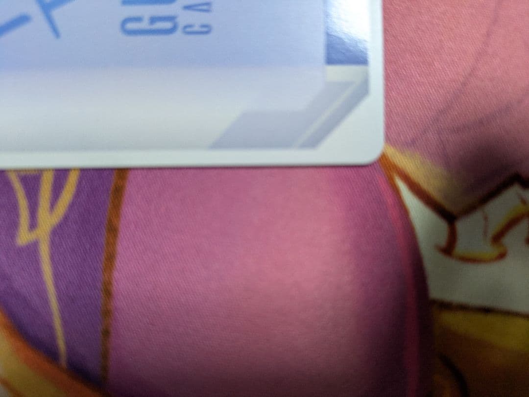 予期せぬ出来事　パラレル　ラクス