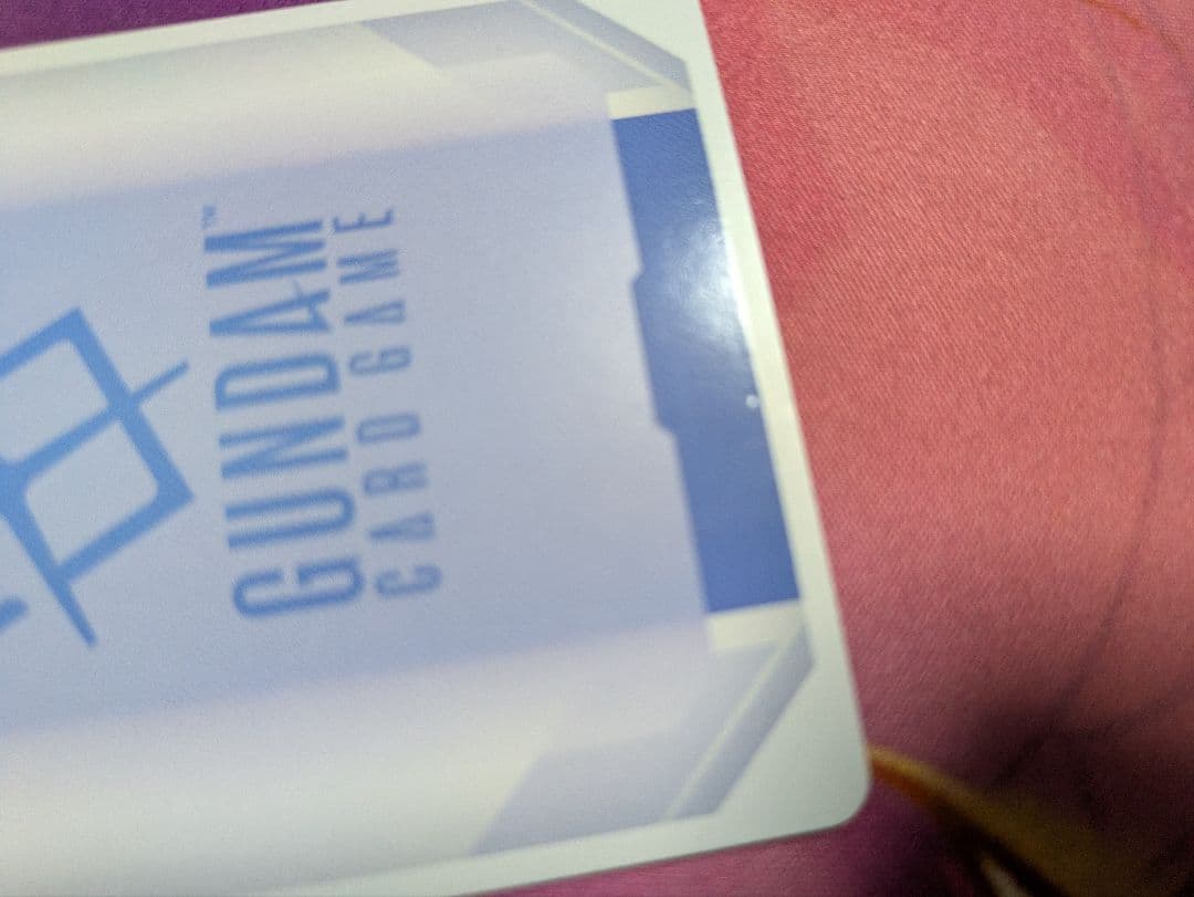 予期せぬ出来事　パラレル　ラクス