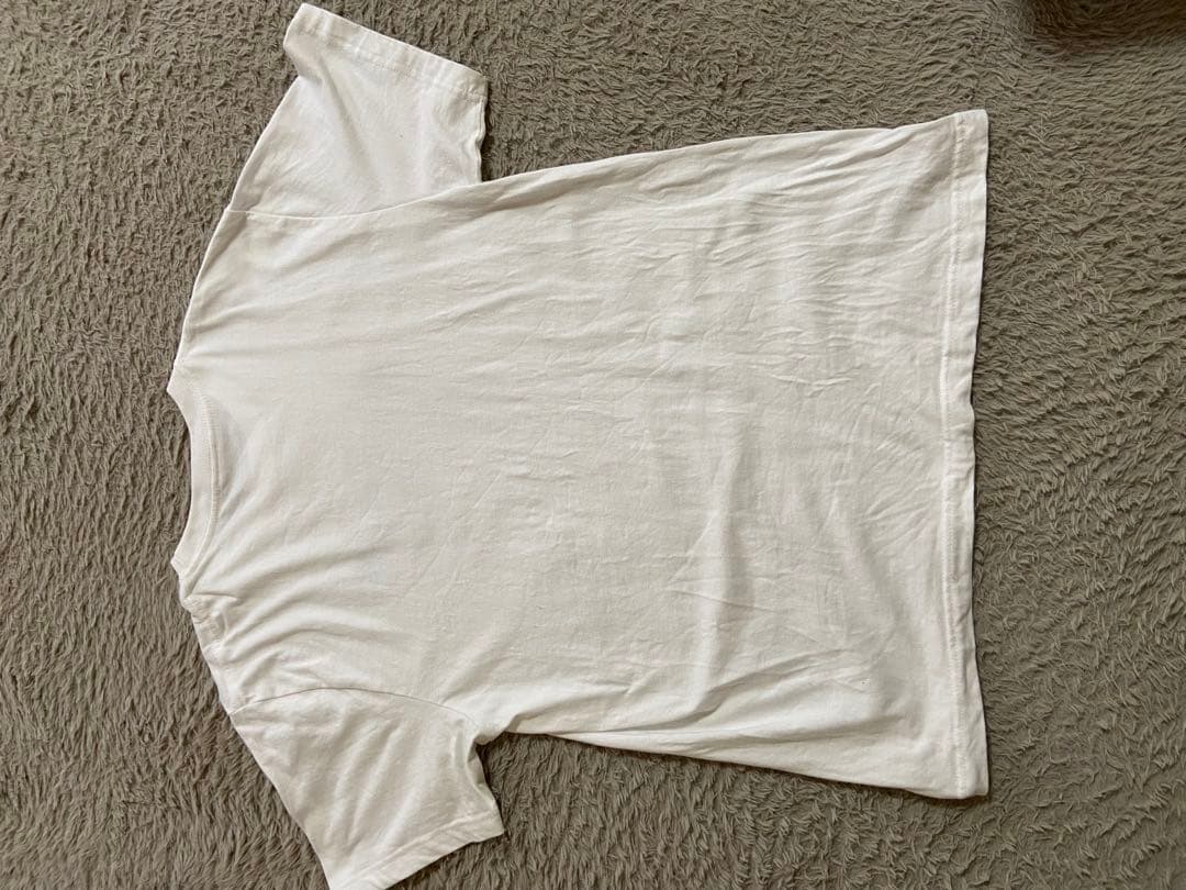 TUBE 40周年記念 ボタン付きシャツLとTシャツセットフリーサイズ