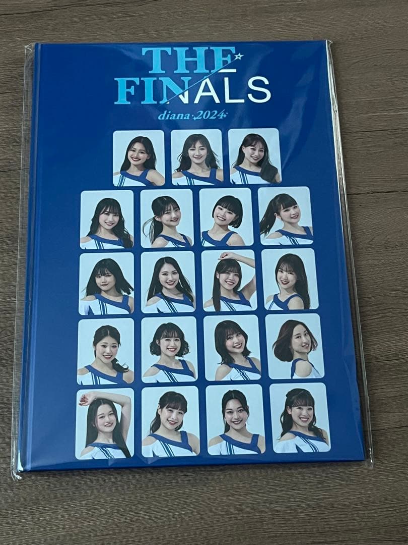 横浜DeNAベイスターズ THE FINALS diana2024-フォトブック