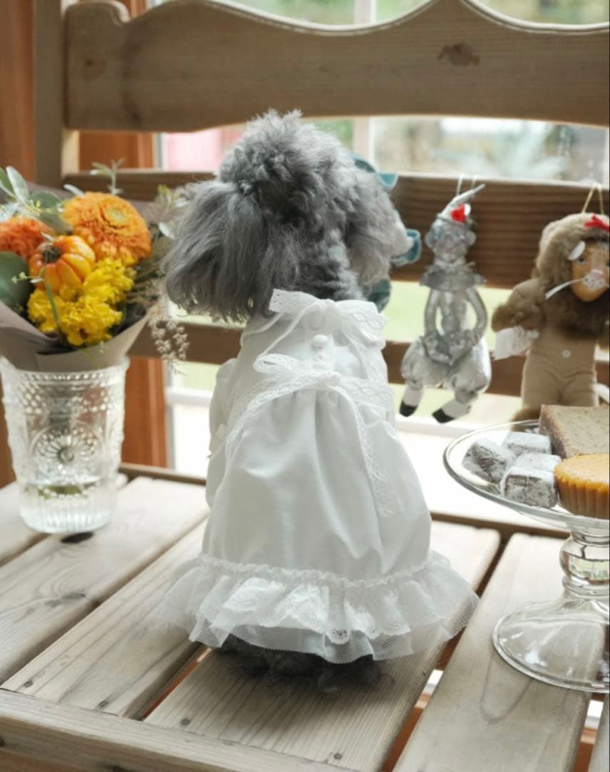 アトリエGG ドロシー〝火曜日のティータイム
