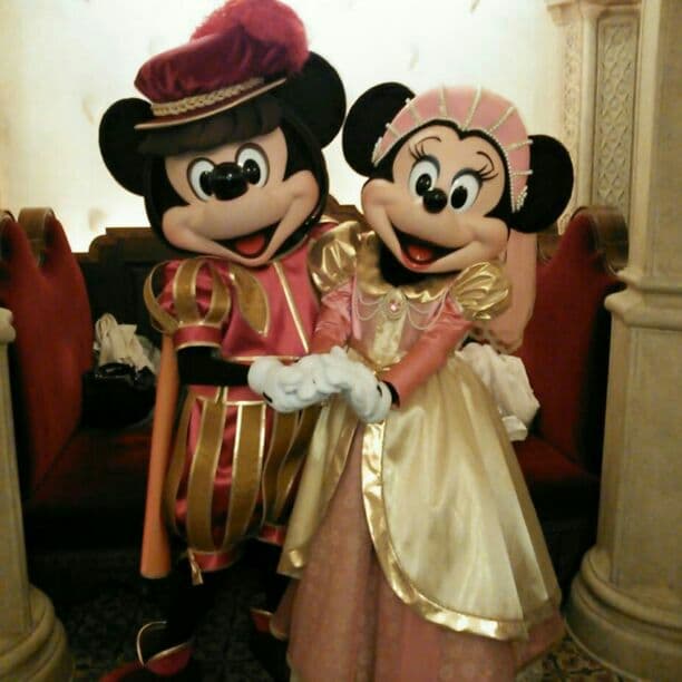 バケーションパッケージ限定　ミッキー　ミニー