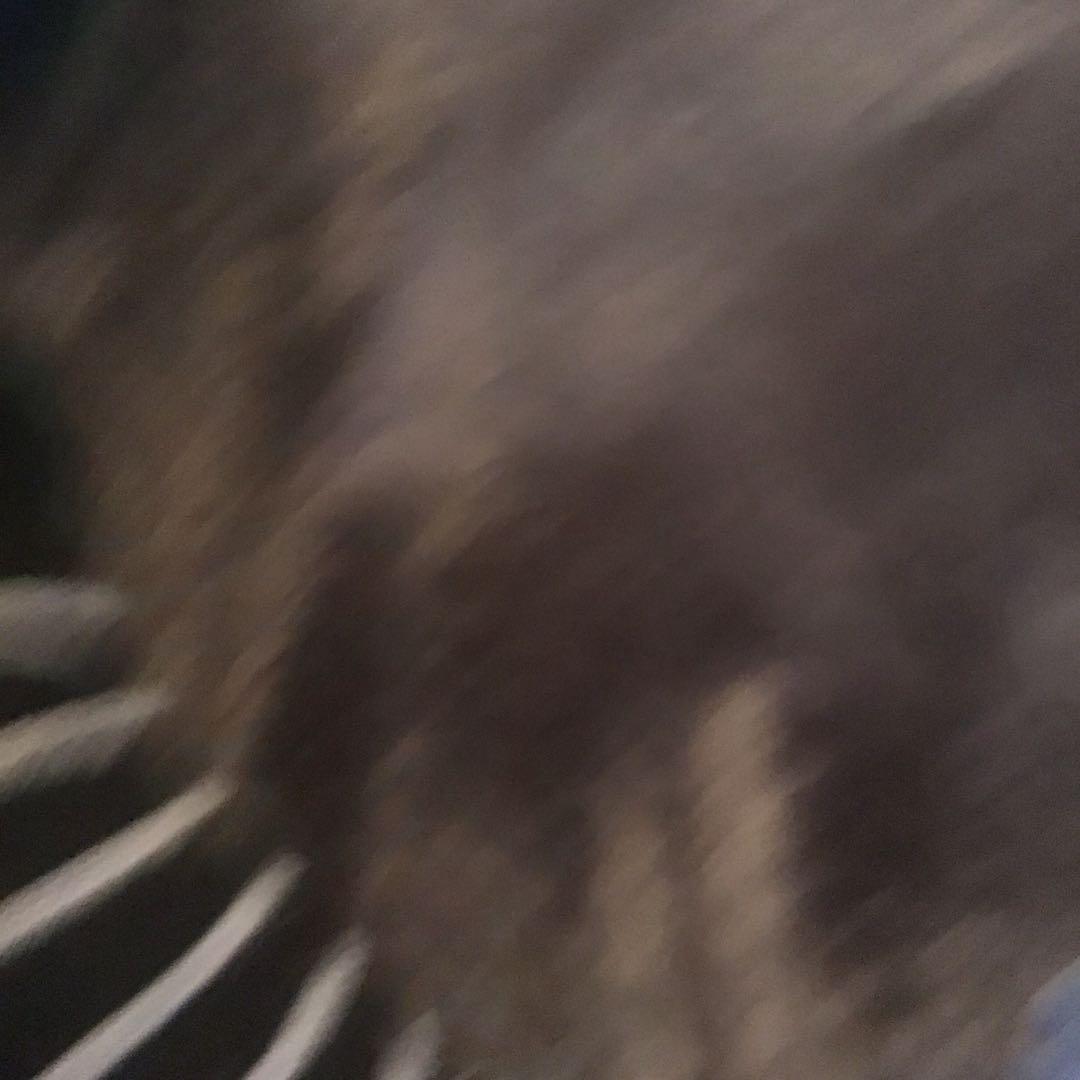 TOMICA LIMITED VINTAGE NEO Nissan IDx 2台