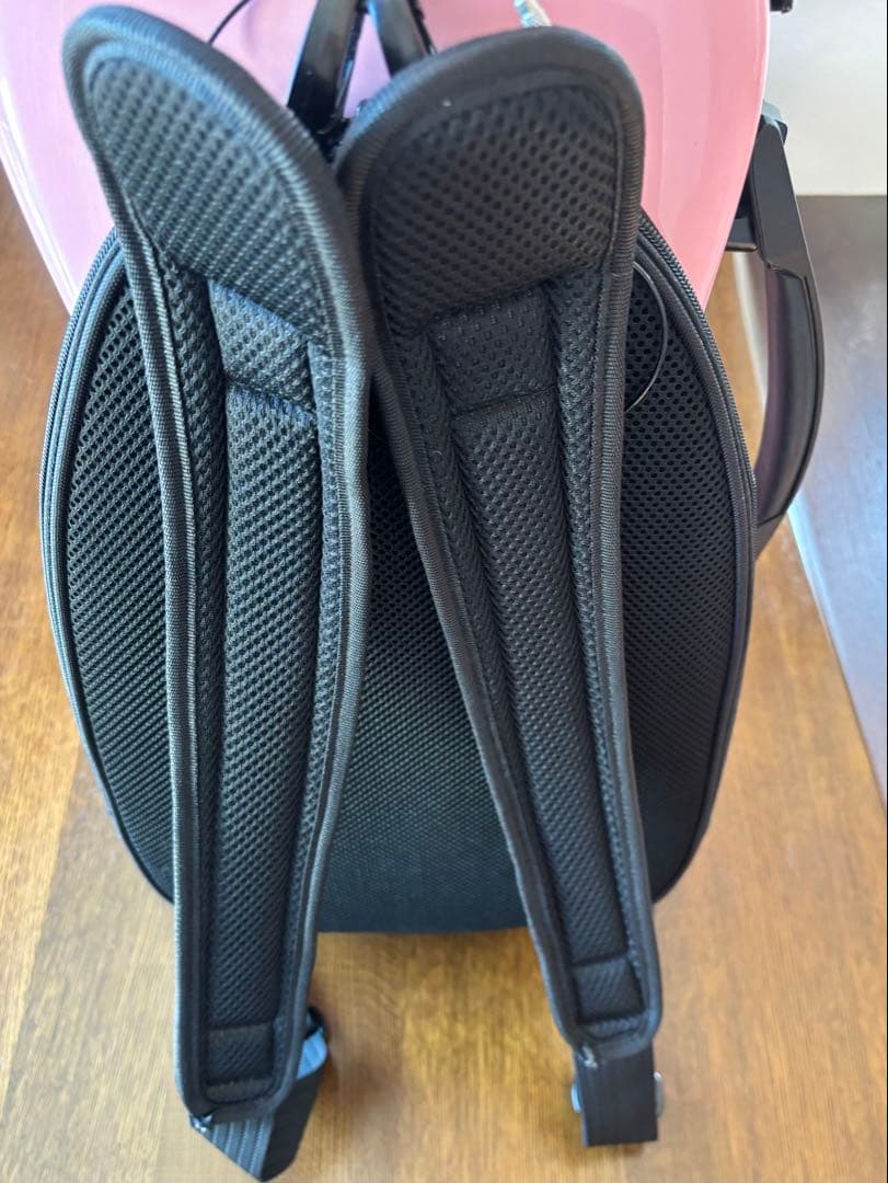 Fiumebianca バイオリンケースとBella Armonia バイオリン